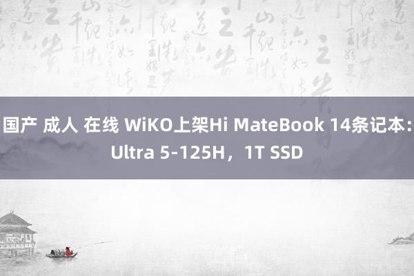 国产 成人 在线 WiKO上架Hi MateBook 14条记本：Ultra 5-125H，1T SSD