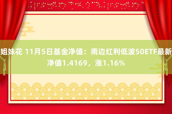 姐妹花 11月5日基金净值：南边红利低波50ETF最新净值1.4169，涨1.16%