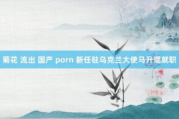 菊花 流出 国产 porn 新任驻乌克兰大使马升琨就职