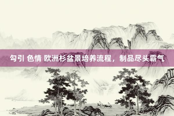 勾引 色情 欧洲杉盆景培养流程，制品尽头霸气