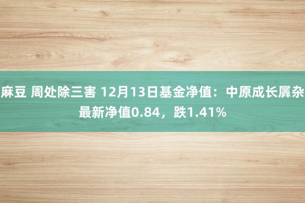 麻豆 周处除三害 12月13日基金净值：中原成长羼杂最新净值0.84，跌1.41%