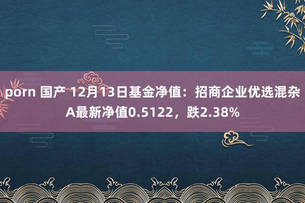 porn 国产 12月13日基金净值：招商企业优选混杂A最新净值0.5122，跌2.38%