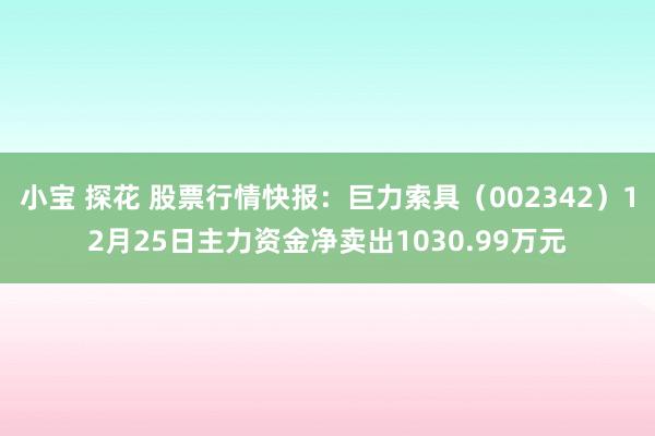 小宝 探花 股票行情快报：巨力索具（002342）12月25日主力资金净卖出1030.99万元