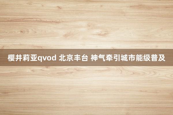 樱井莉亚qvod 北京丰台 神气牵引城市能级普及