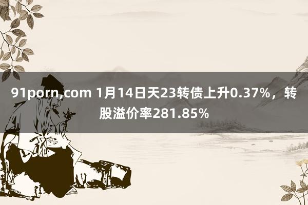 91porn,com 1月14日天23转债上升0.37%，转股溢价率281.85%