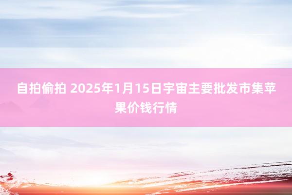 自拍偷拍 2025年1月15日宇宙主要批发市集苹果价钱行情