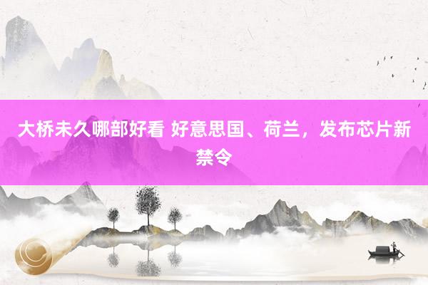 大桥未久哪部好看 好意思国、荷兰，发布芯片新禁令