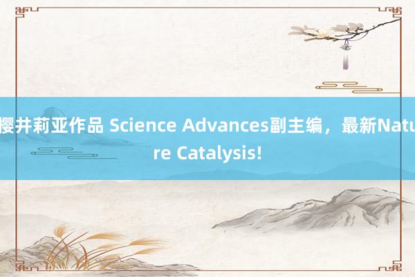樱井莉亚作品 Science Advances副主编，最新Nature Catalysis!