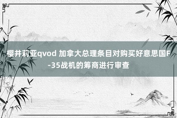 樱井莉亚qvod 加拿大总理条目对购买好意思国F-35战机的筹商进行审查
