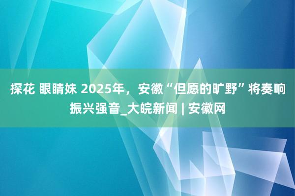 探花 眼睛妹 2025年，安徽“但愿的旷野”将奏响振兴强音_大皖新闻 | 安徽网