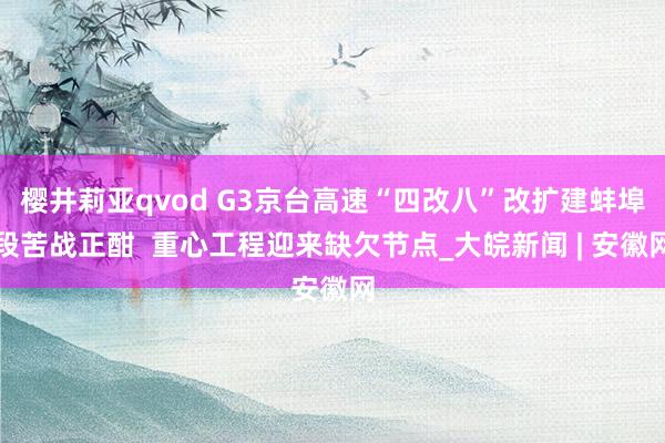 樱井莉亚qvod G3京台高速“四改八”改扩建蚌埠段苦战正酣  重心工程迎来缺欠节点_大皖新闻 | 安徽网