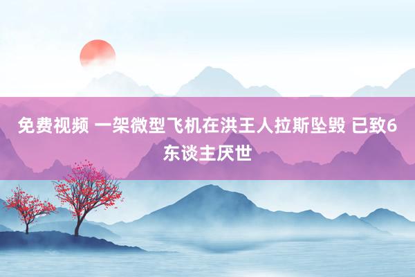 免费视频 一架微型飞机在洪王人拉斯坠毁 已致6东谈主厌世