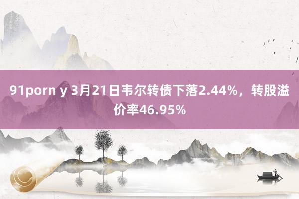 91porn y 3月21日韦尔转债下落2.44%，转股溢价率46.95%