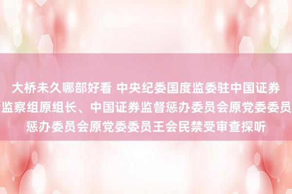 大桥未久哪部好看 中央纪委国度监委驻中国证券监督惩办委员会纪检监察组原组长、中国证券监督惩办委员会原党委委员王会民禁受审查探听