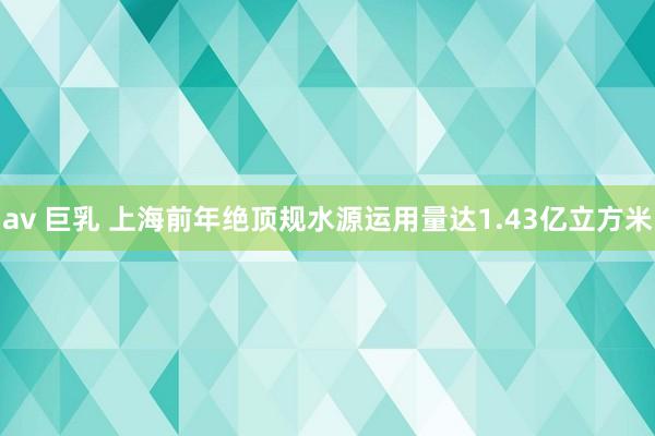 av 巨乳 上海前年绝顶规水源运用量达1.43亿立方米