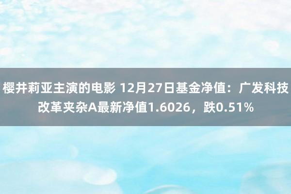 樱井莉亚主演的电影 12月27日基金净值：广发科技改革夹杂A最新净值1.6026，跌0.51%