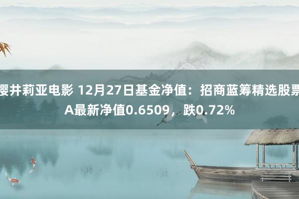 樱井莉亚电影 12月27日基金净值：招商蓝筹精选股票A最新净值0.6509，跌0.72%