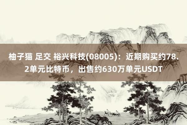 柚子猫 足交 裕兴科技(08005)：近期购买约78.2单元比特币，出售约630万单元USDT