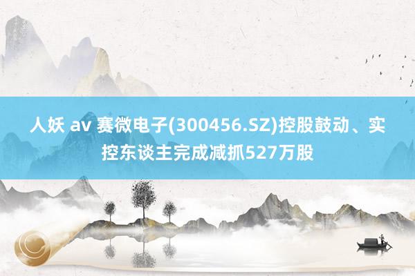 人妖 av 赛微电子(300456.SZ)控股鼓动、实控东谈主完成减抓527万股