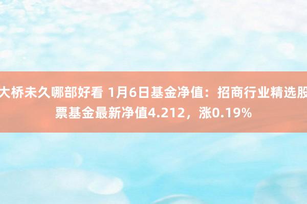 大桥未久哪部好看 1月6日基金净值：招商行业精选股票基金最新净值4.212，涨0.19%