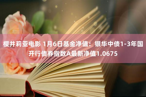 樱井莉亚电影 1月6日基金净值：银华中债1-3年国开行债券指数A最新净值1.0675