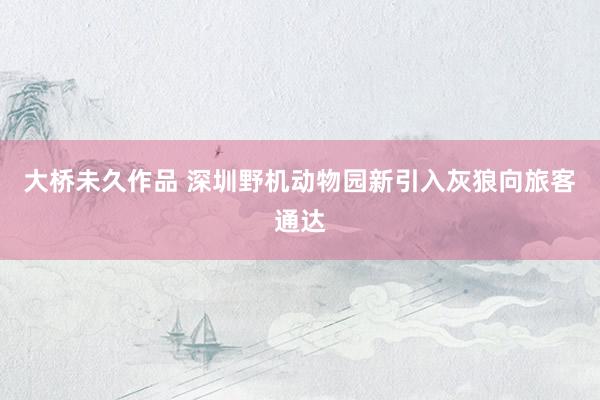 大桥未久作品 深圳野机动物园新引入灰狼向旅客通达