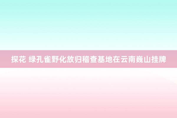 探花 绿孔雀野化放归稽查基地在云南巍山挂牌