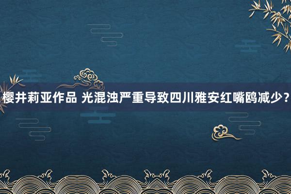 樱井莉亚作品 光混浊严重导致四川雅安红嘴鸥减少？