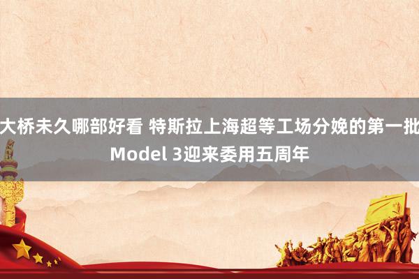 大桥未久哪部好看 特斯拉上海超等工场分娩的第一批Model 3迎来委用五周年