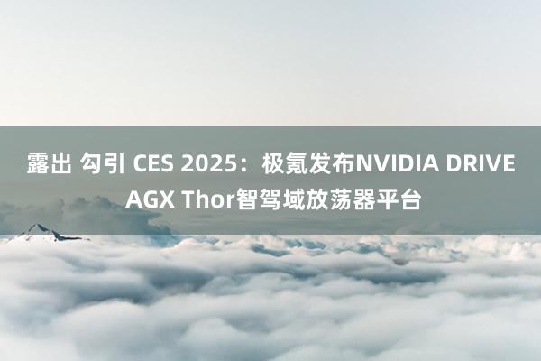 露出 勾引 CES 2025：极氪发布NVIDIA DRIVE AGX Thor智驾域放荡器平台
