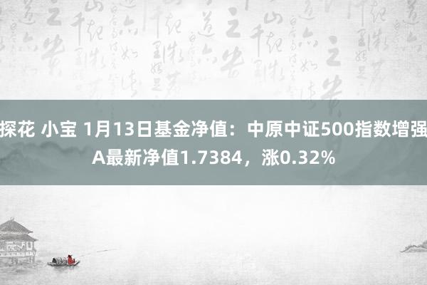 探花 小宝 1月13日基金净值：中原中证500指数增强A最新净值1.7384，涨0.32%