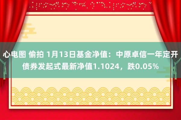 心电图 偷拍 1月13日基金净值：中原卓信一年定开债券发起式最新净值1.1024，跌0.05%