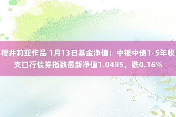 樱井莉亚作品 1月13日基金净值：中银中债1-5年收支口行债券指数最新净值1.0495，跌0.16%