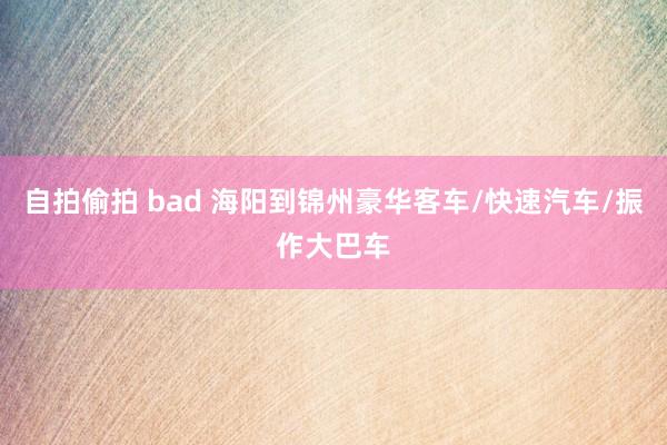 自拍偷拍 bad 海阳到锦州豪华客车/快速汽车/振作大巴车