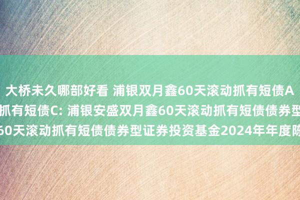 大桥未久哪部好看 浦银双月鑫60天滚动抓有短债A,浦银双月鑫60天滚动抓有短债C: 浦银安盛双月鑫60天滚动抓有短债债券型证券投资基金2024年年度陈诉