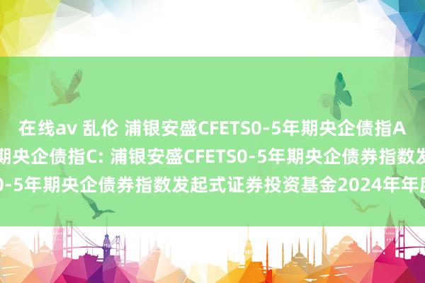 在线av 乱伦 浦银安盛CFETS0-5年期央企债指A,浦银安盛CFETS0-5年期央企债指C: 浦银安盛CFETS0-5年期央企债券指数发起式证券投资基金2024年年度呈文