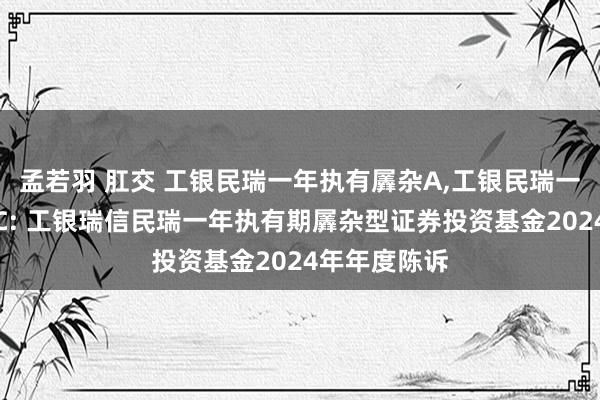孟若羽 肛交 工银民瑞一年执有羼杂A,工银民瑞一年执有羼杂C: 工银瑞信民瑞一年执有期羼杂型证券投资基金2024年年度陈诉
