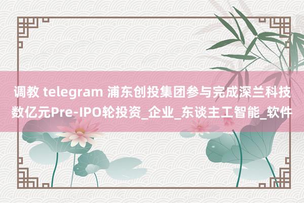 调教 telegram 浦东创投集团参与完成深兰科技数亿元Pre-IPO轮投资_企业_东谈主工智能_软件