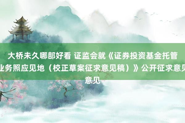 大桥未久哪部好看 证监会就《证券投资基金托管业务照应见地（校正草案征求意见稿）》公开征求意见