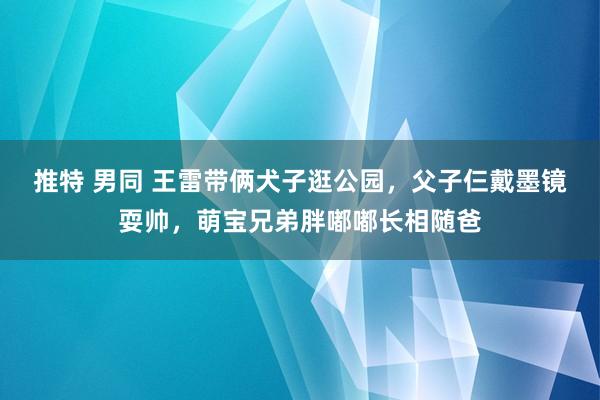 推特 男同 王雷带俩犬子逛公园，父子仨戴墨镜耍帅，萌宝兄弟胖嘟嘟长相随爸