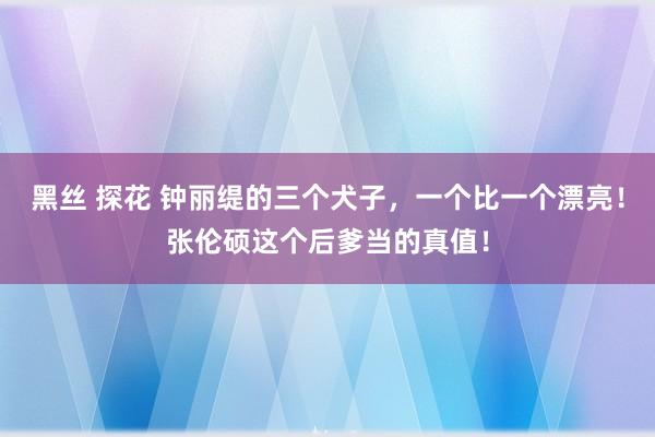 黑丝 探花 钟丽缇的三个犬子，一个比一个漂亮！张伦硕这个后爹当的真值！