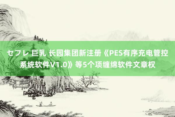セフレ 巨乳 长园集团新注册《PES有序充电管控系统软件V1.0》等5个项缠绵软件文章权