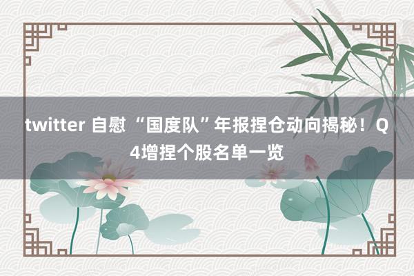 twitter 自慰 “国度队”年报捏仓动向揭秘！Q4增捏个股名单一览