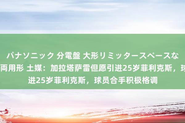 パナソニック 分電盤 大形リミッタースペースなし 露出・半埋込両用形 土媒：加拉塔萨雷但愿引进25岁菲利克斯，球员合手积极格调