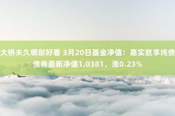 大桥未久哪部好看 3月20日基金净值：嘉实致享纯债债券最新净值1.0381，涨0.23%
