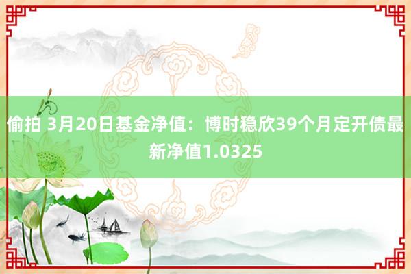 偷拍 3月20日基金净值：博时稳欣39个月定开债最新净值1.0325