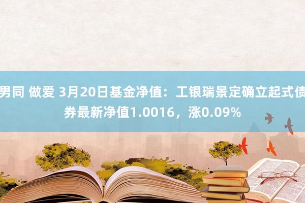 男同 做爱 3月20日基金净值：工银瑞景定确立起式债券最新净值1.0016，涨0.09%