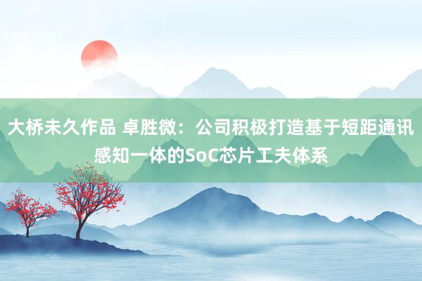 大桥未久作品 卓胜微：公司积极打造基于短距通讯感知一体的SoC芯片工夫体系