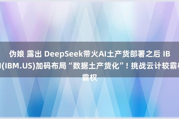 伪娘 露出 DeepSeek带火AI土产货部署之后 IBM(IBM.US)加码布局“数据土产货化”! 挑战云计较霸权
