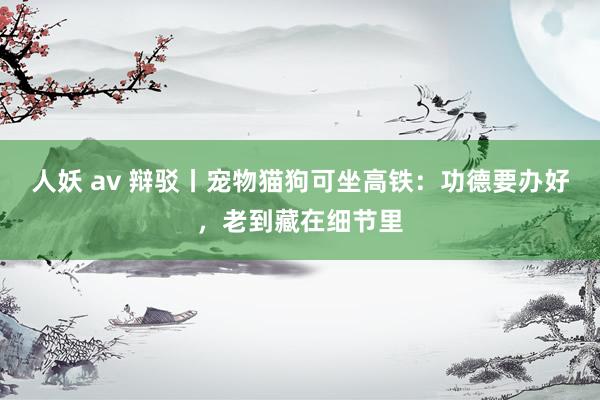 人妖 av 辩驳丨宠物猫狗可坐高铁：功德要办好，老到藏在细节里